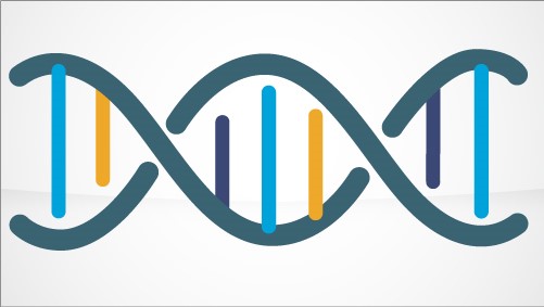 abrasives dna